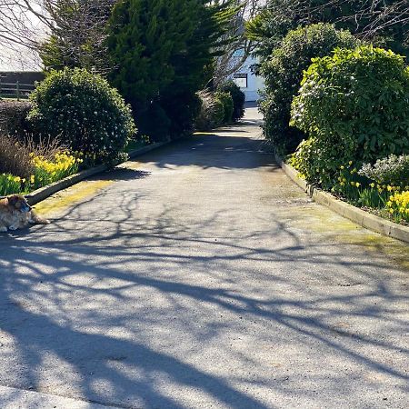 Rose Cottage Captivating 1-Bed Cottage In Bangor Extérieur photo